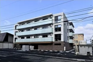 セントポーリアシュシュの画像