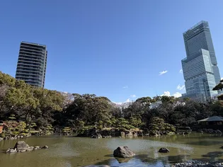 シティタワー天王寺【24階】の外観