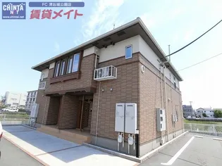 サン パインテイル Cの画像