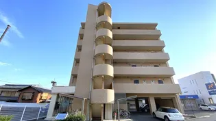 ラホヤハナクマの画像