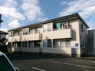 マリーゴールドの画像