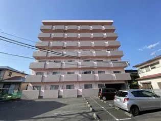 エレガンスメゾン6A【3階】の外観