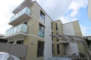 ステラZENの画像