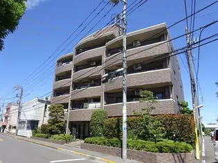 エストネオアージュの画像