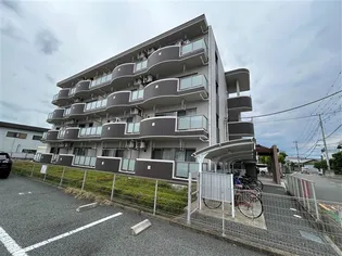 ブルーローズIIの画像