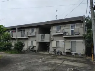 タウニィ長谷川の画像