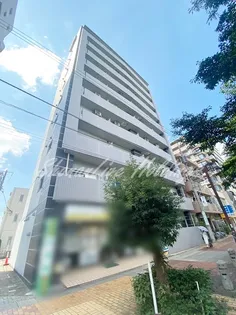 ソールレヴァンテの画像