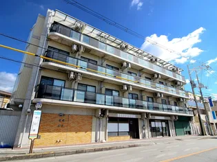 センチュリーショウエイVIIの画像