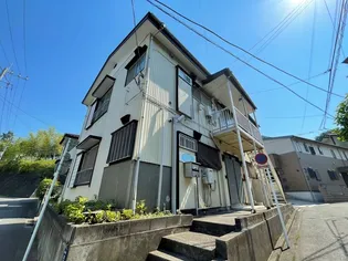 パーシモン市金の画像