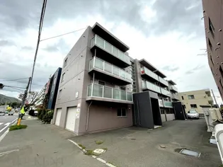 ネスト連理の画像