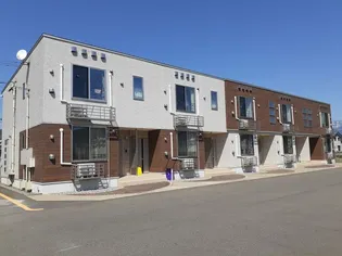 グレイス Yの画像