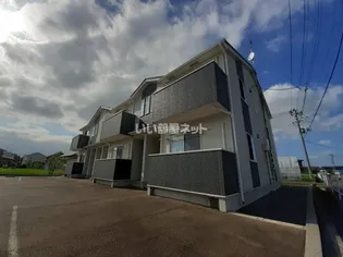 ヘリアンサスの画像