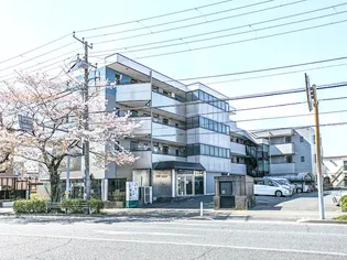 プラザ ステビアの画像