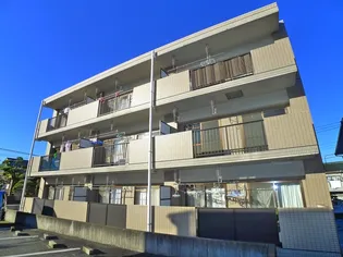 グレース松戸IIIの画像