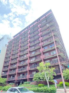 大阪府大阪市東淀川区東中島4【マンション】の外観