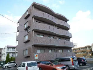 プリマベーラの画像