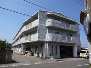 セーヌ白鳥の画像