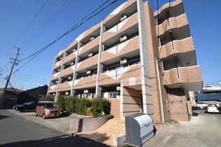 サンシャインタナカの画像