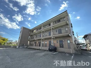 徳島県板野郡藍住町勝瑞字成長【マンション】の外観