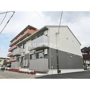 ココアスの画像