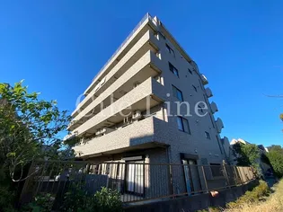 ラヴィータの画像