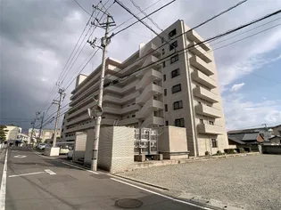 マリオン城乾の画像