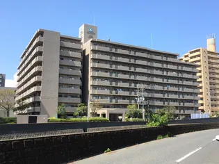 サーパス鴨池通りの画像