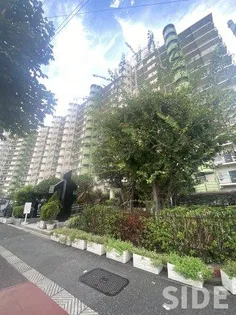 大阪城公園スカイハイツの画像