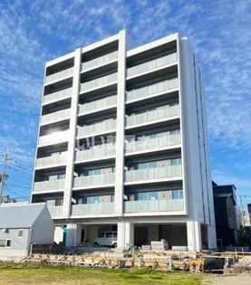 SANSEVIERIA参道の画像