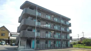 フォーエバー20の画像