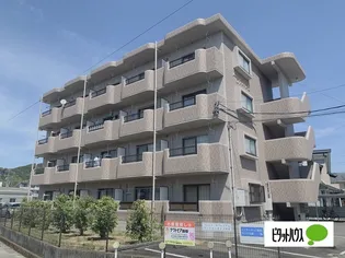 ノーヴァIIの画像