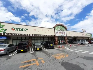 サウスブリーズ【4階】の周辺