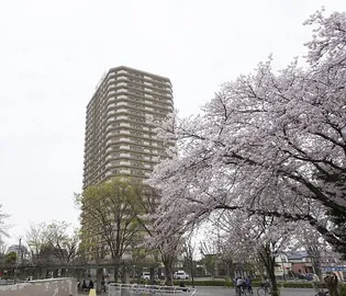 URビュータワーおけがわの画像