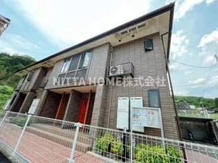 アミカーレBの画像