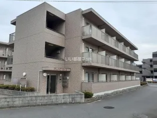 セレクトIVの画像