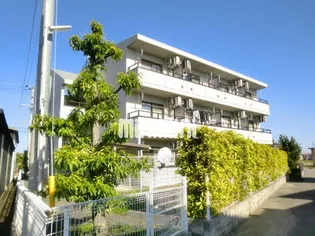 サニーフォレストの画像