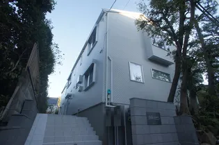 ステラマリスの画像