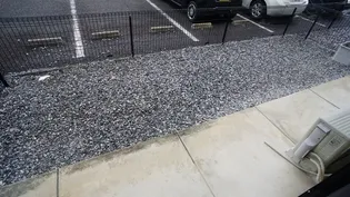 ブランシュ富田A【1階】の内装