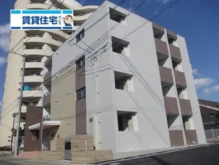 コオリナの画像