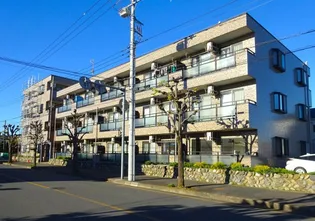 CIELO GARDENIIの画像