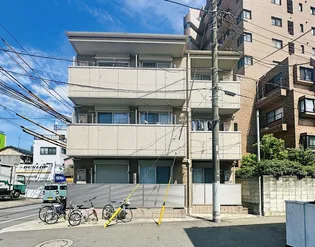 ステラカーサの画像