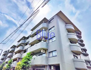 フィールド サンの画像