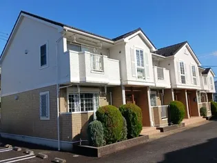 ブラマーレの画像