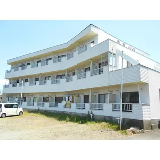 エバーグリーンの画像