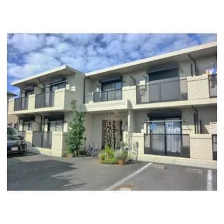 コーラル リーフの画像