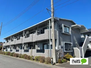 プレザント ワンの画像