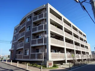 アーデントグレイスの画像