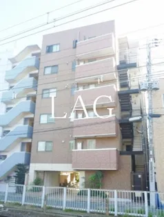 スクエアコートの画像