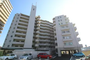 ダイアパレス中須の画像