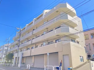 テラスパウロニアの画像
